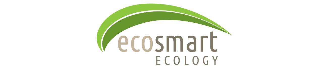 1300x265-EcoSmart-logo